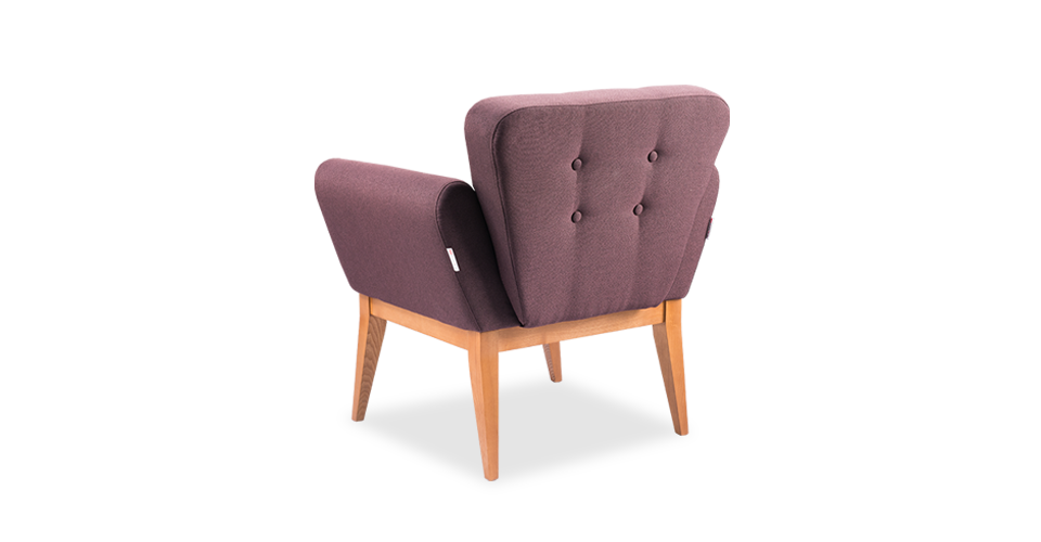 Колібрі WOOD-1