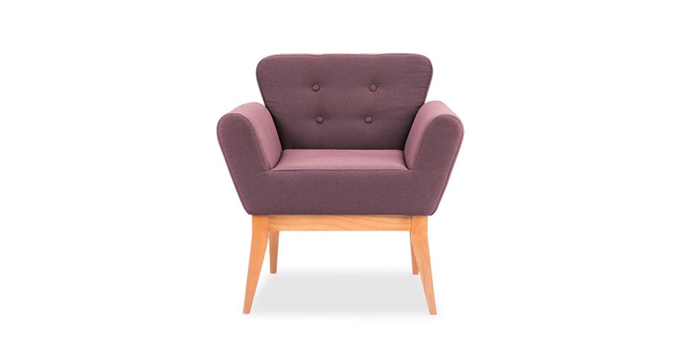 Колібрі WOOD-1