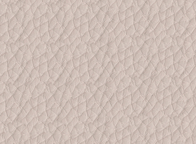 Aurora-282-jest-stream