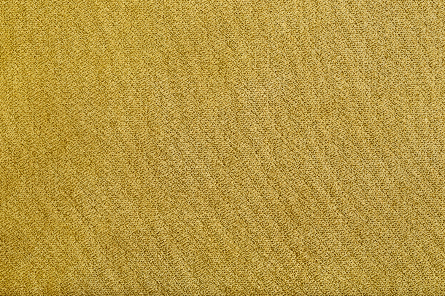 full_Shadow_11_IMG_3754_1