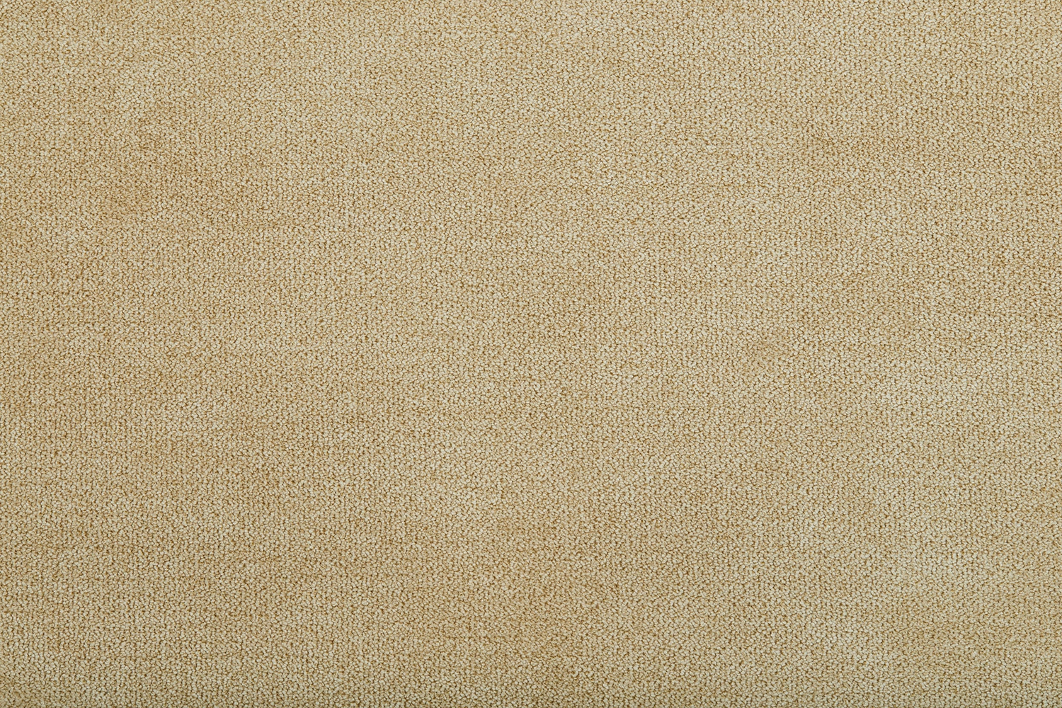 full_Shadow_3_IMG_3720_1