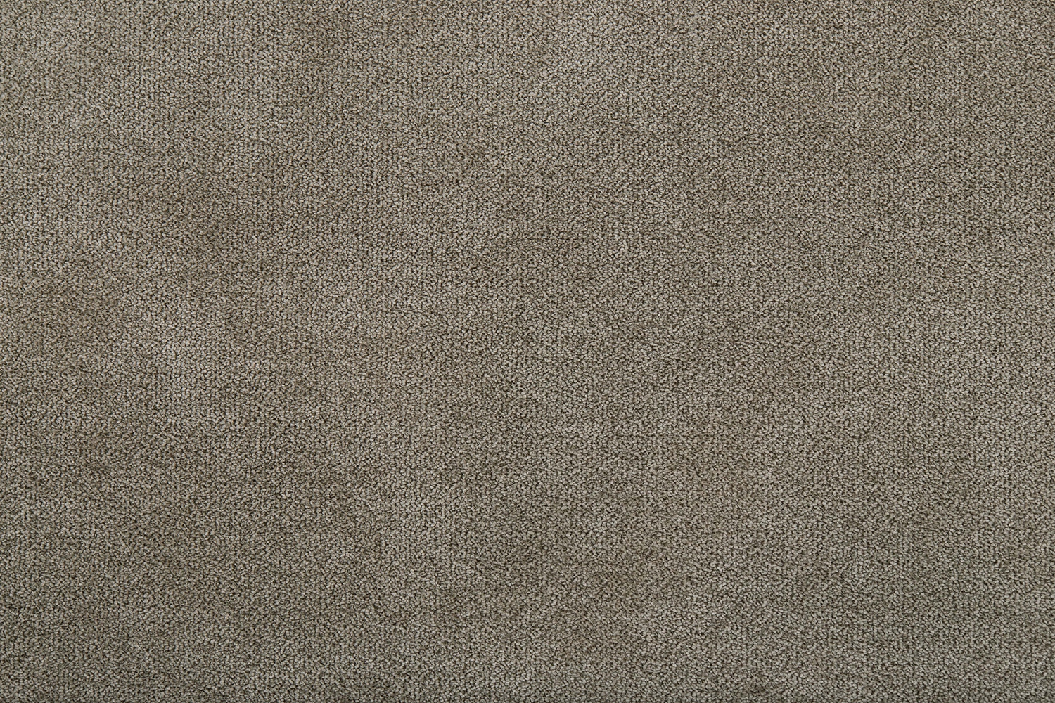 full_Shadow_4_IMG_3725_1