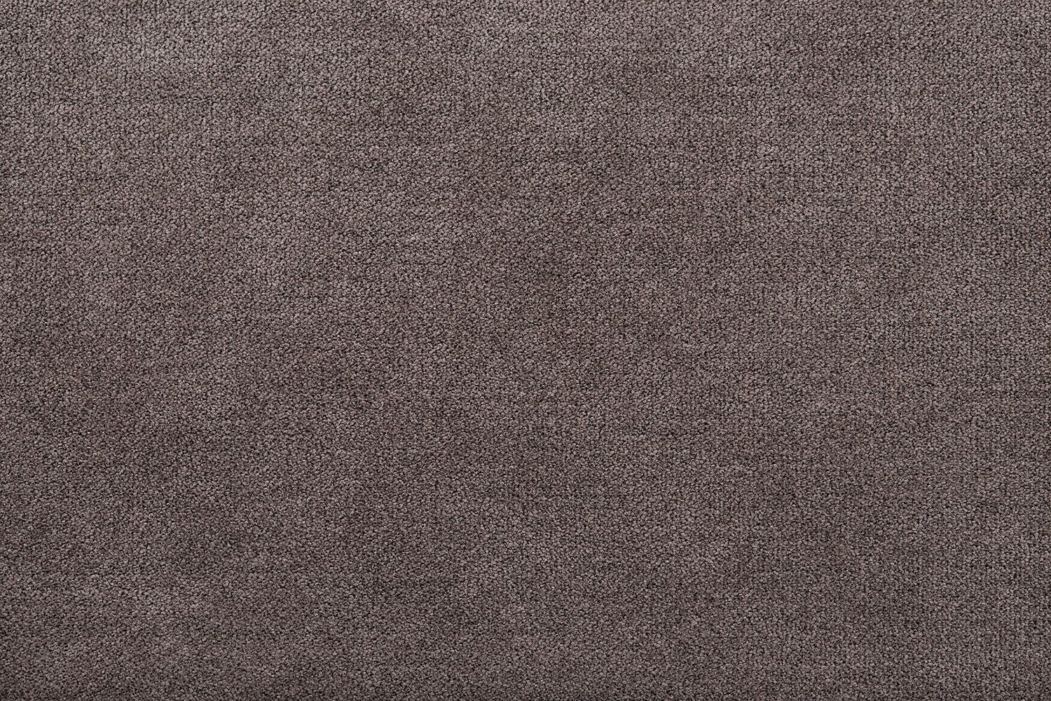 full_Shadow_5_IMG_3729_1