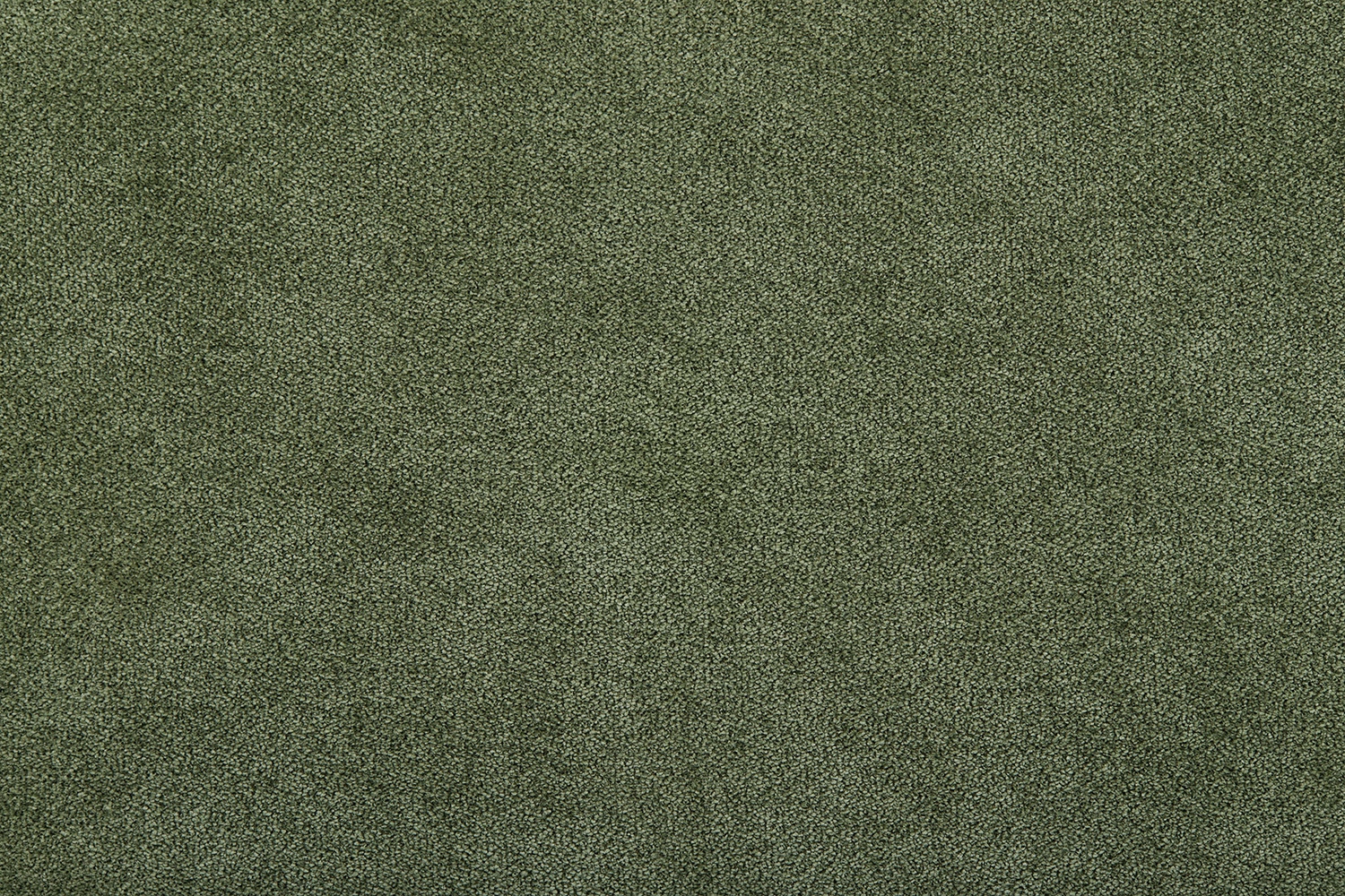 full_Shadow_6_IMG_3731_1